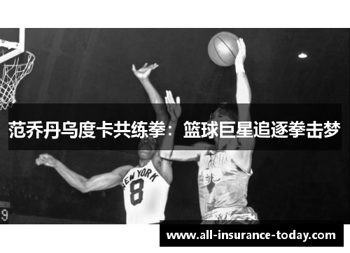 范乔丹乌度卡共练拳:篮球巨星追逐拳击梦